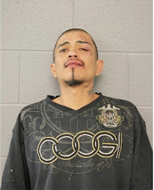 HECTOR B RUIZ, Cook County, Illinois