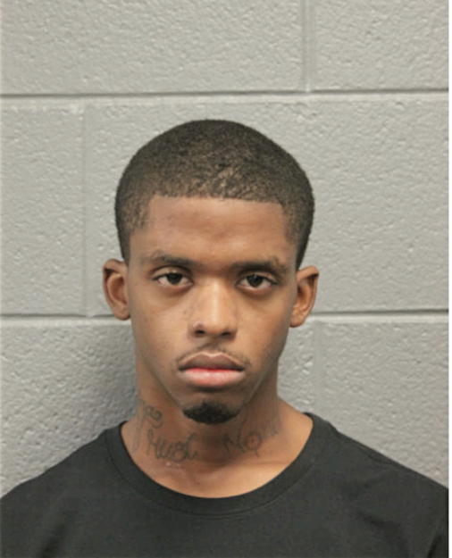 KENYON J SAVAGE, Cook County, Illinois