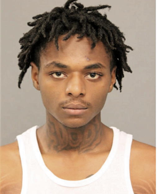 WILLIE D WARE, Cook County, Illinois