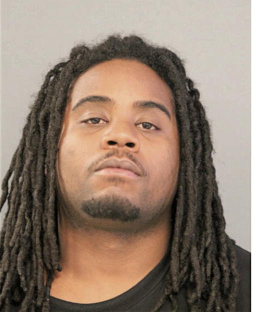 ERIK L WILLIAMS, Cook County, Illinois