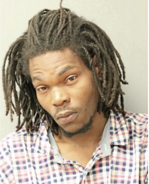 RONNIE T YOUNG, Cook County, Illinois