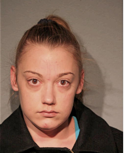 SARA D BRICCO, Cook County, Illinois