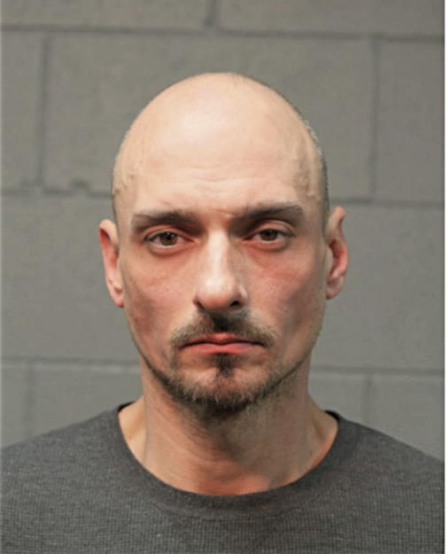 MICHAEL W CALA, Cook County, Illinois