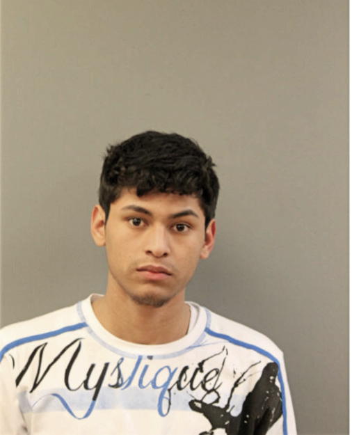 WILMER CARDENAS, Cook County, Illinois