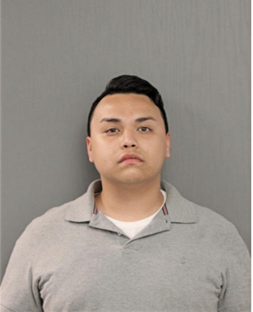 ENRIQUE G CHAVEZ, Cook County, Illinois