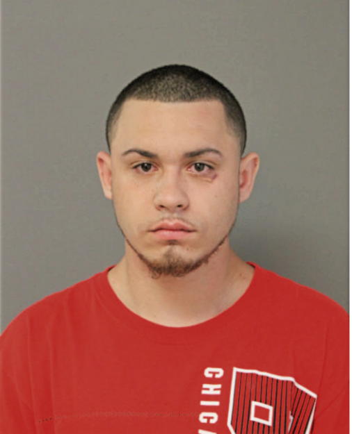 ANGEL M COLON, Cook County, Illinois