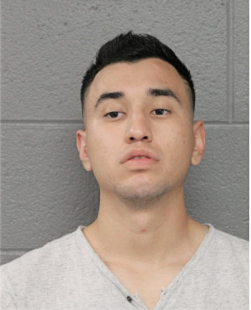 ARTURO R CRUZ VACA, Cook County, Illinois