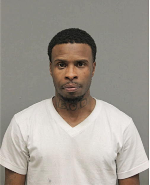 ALVIN L DANIELS, Cook County, Illinois