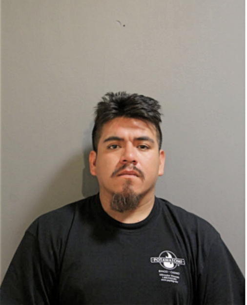 DOMINGO DIAZ, Cook County, Illinois