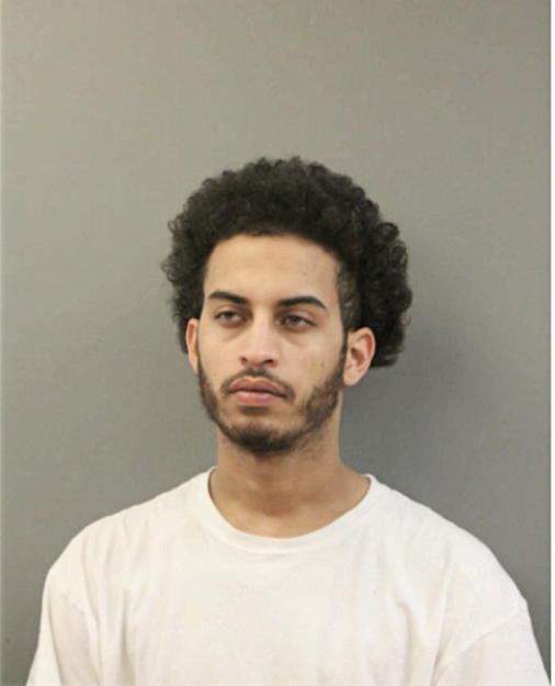 DANIEL L EZELL, Cook County, Illinois