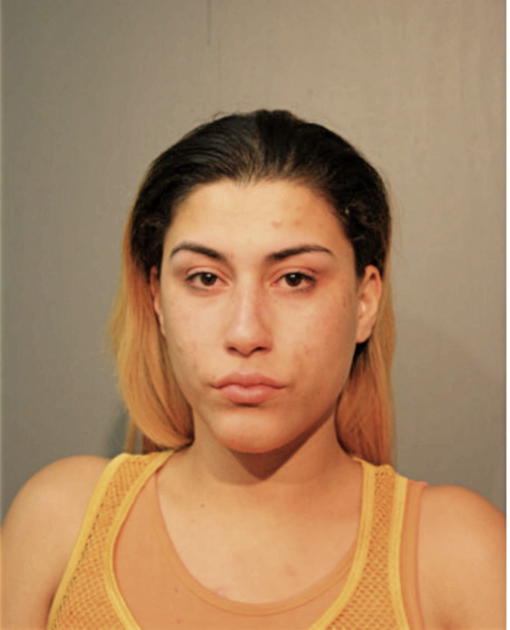 VILMA J FONSECA, Cook County, Illinois