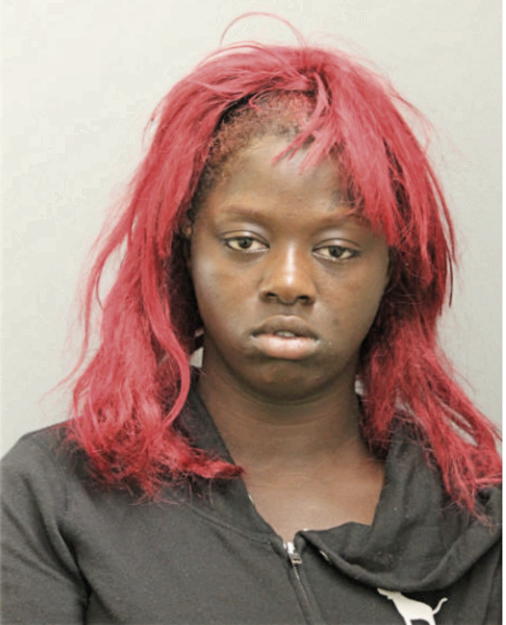 SHIRLEY M LEWIS, Cook County, Illinois