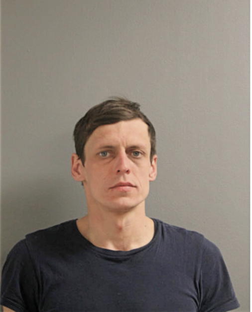 IGOR REZNIK, Cook County, Illinois