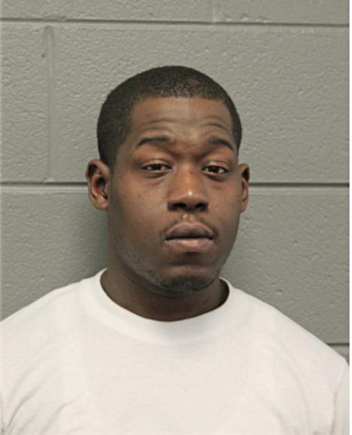 ANDREW P SECTION, Cook County, Illinois