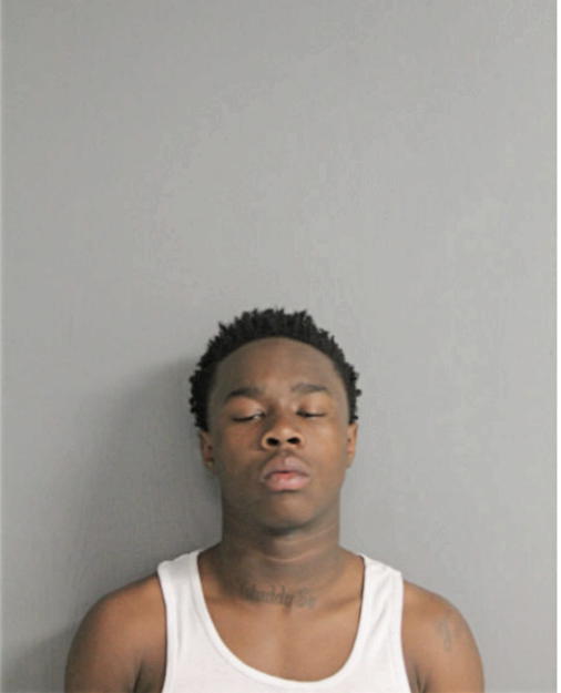 TYREK STEVENS, Cook County, Illinois
