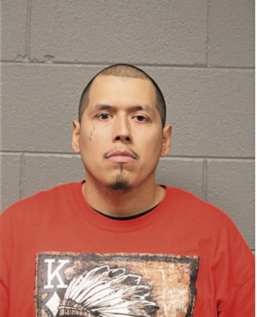 CARLOS E VILLAGOMEZ, Cook County, Illinois
