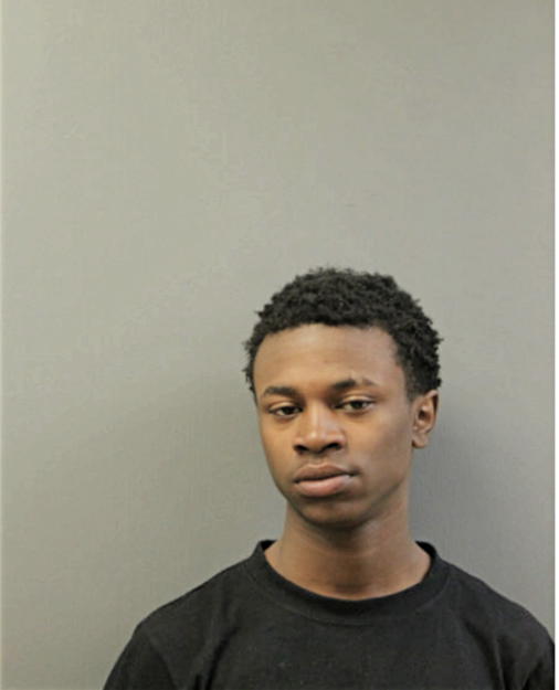 DEDRIC L WILLIAMS, Cook County, Illinois