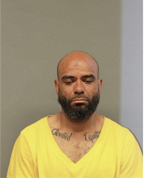 ROBERT N WISE, Cook County, Illinois
