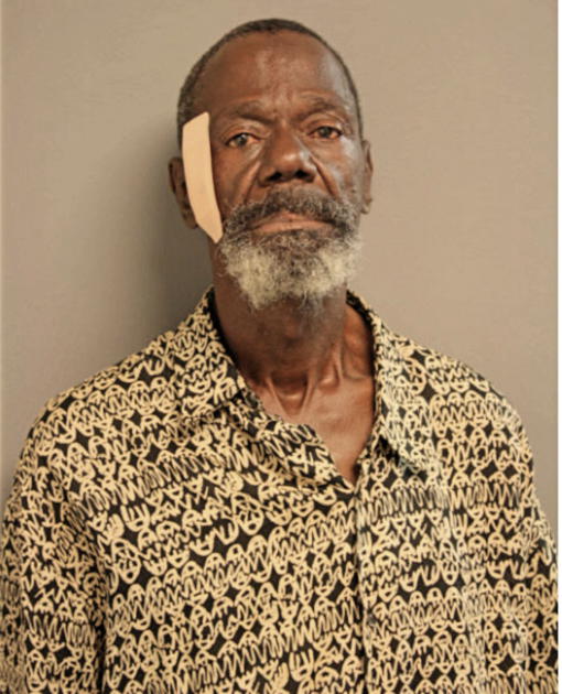 GEORGE ADAMS, Cook County, Illinois