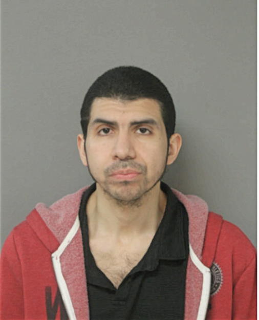 BYRON ALVARADO, Cook County, Illinois