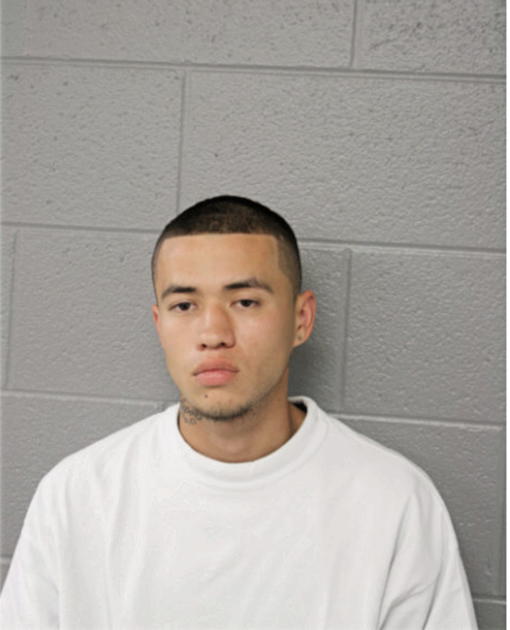 MICHAEL D ANGUIANO, Cook County, Illinois