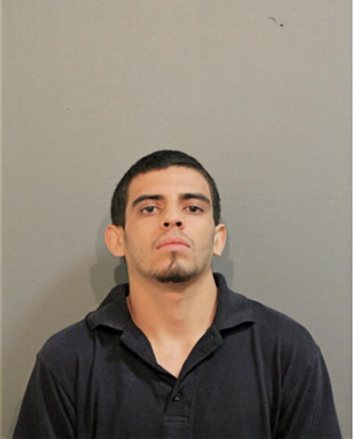 JAVONNI J AVILA, Cook County, Illinois