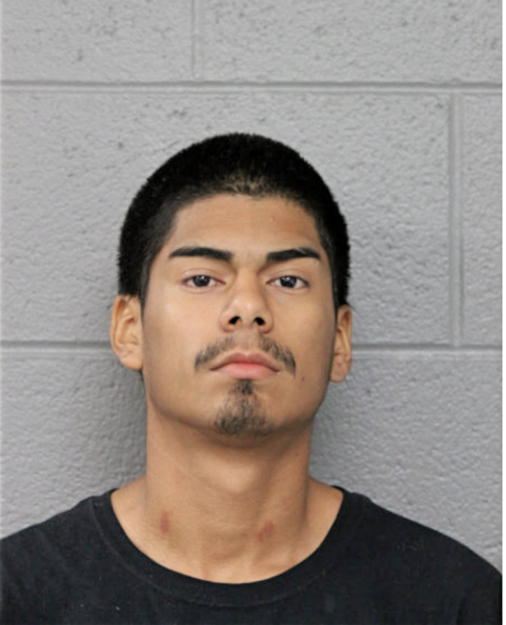 JAVIER AVINA, Cook County, Illinois