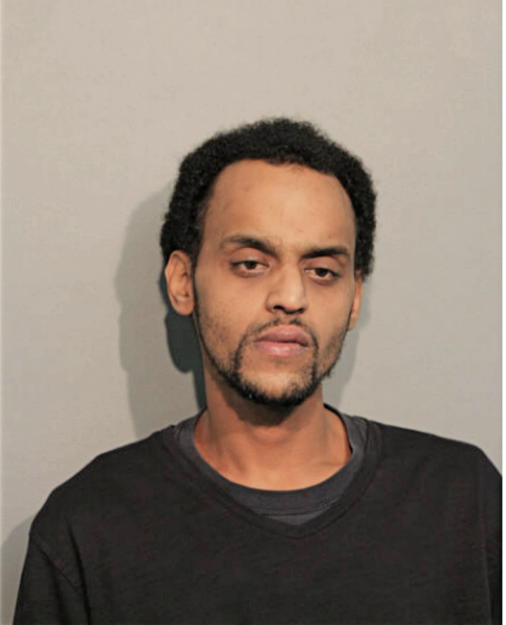 ABDELAZIZE B BESHIR, Cook County, Illinois