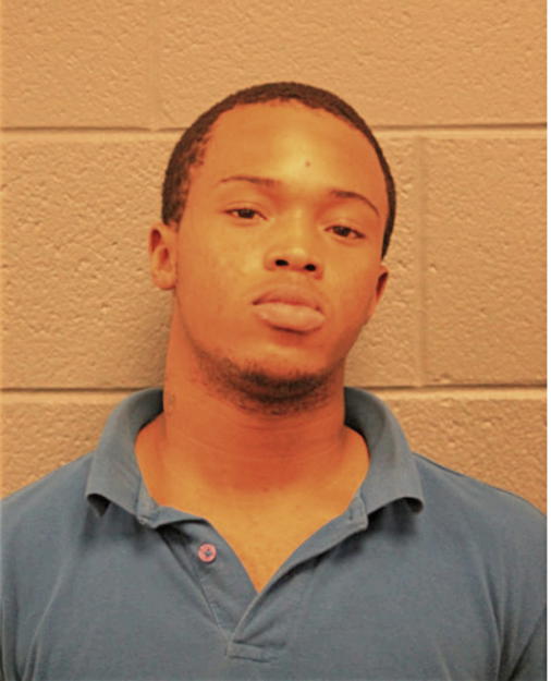 CHRISTOPHER K BROWN, Cook County, Illinois