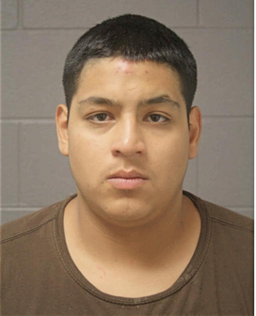 ALEXIS CRUZ, Cook County, Illinois