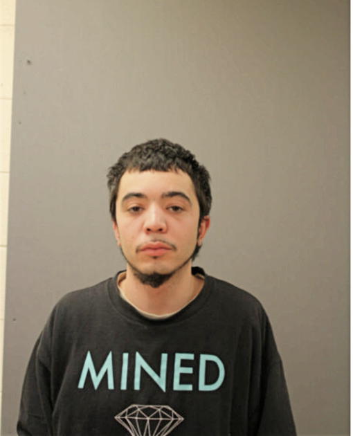 LEONARDO FERNANDEZ, Cook County, Illinois