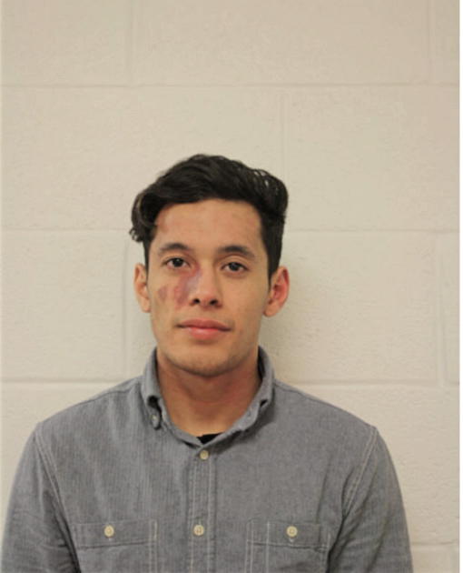 DAVID G FLORES, Cook County, Illinois