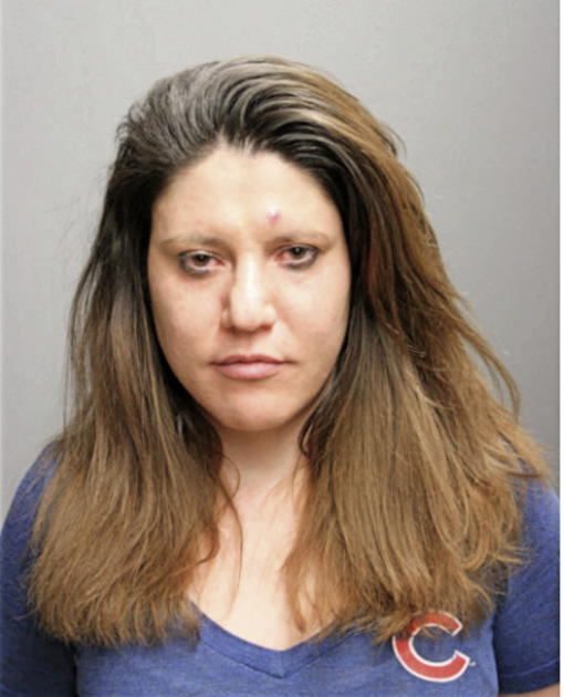 IVELINA HRISTOVA GUEORGUIEVA, Cook County, Illinois