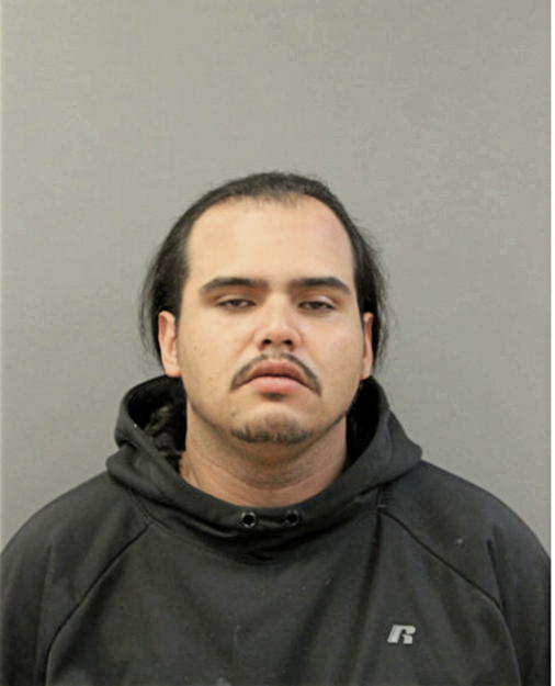 JOSE N IBARRONDO, Cook County, Illinois