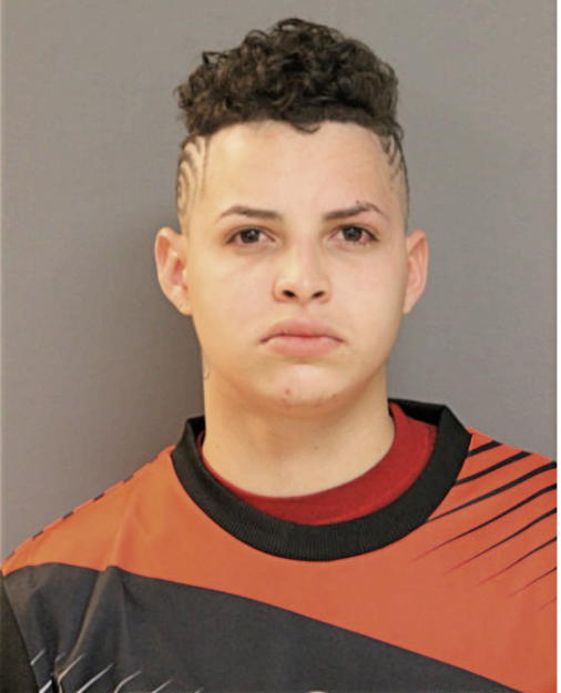 CHRISTOPHER DE JESUS, Cook County, Illinois