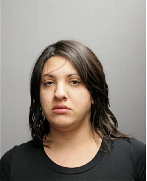 BRIANN A KAYE, Cook County, Illinois