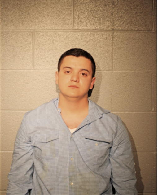 STEFAN KRSTIC, Cook County, Illinois