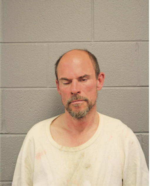 BRIAN W LAVERGNE, Cook County, Illinois