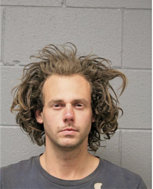 WILSON F LETEFF, Cook County, Illinois