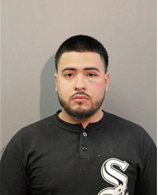 JOSE L MARTINEZ VELASCO, Cook County, Illinois