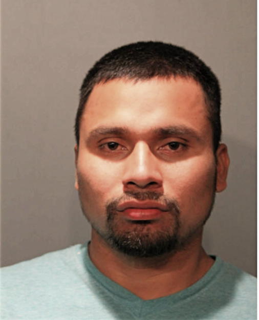 DAVID L MEJIA, Cook County, Illinois