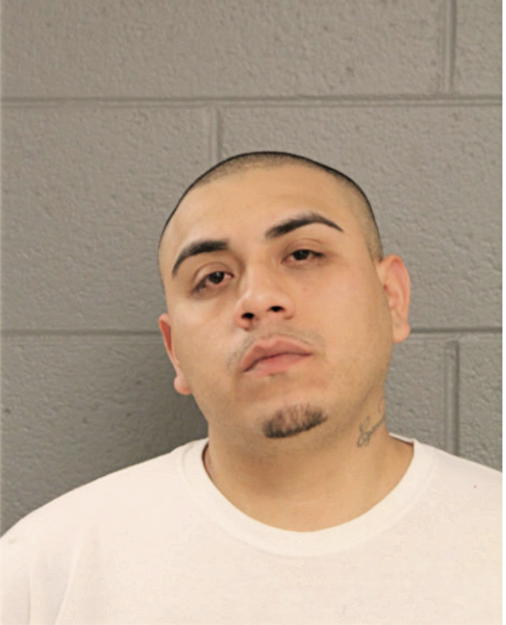 VICTOR S OCHOA, Cook County, Illinois