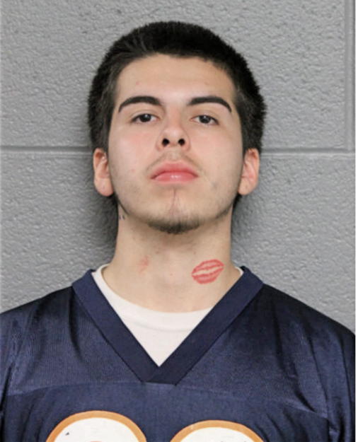 XAVIER A PAREDES, Cook County, Illinois