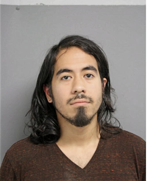 BRIAN C RAMIREZ, Cook County, Illinois