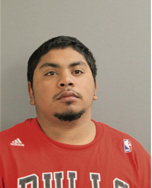 ALFREDO J ROMAN, Cook County, Illinois