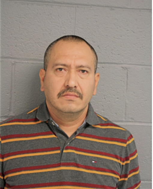JOSE R ROSALES, Cook County, Illinois