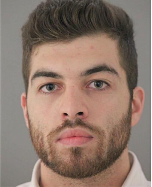 YOAN V TOTEV, Cook County, Illinois