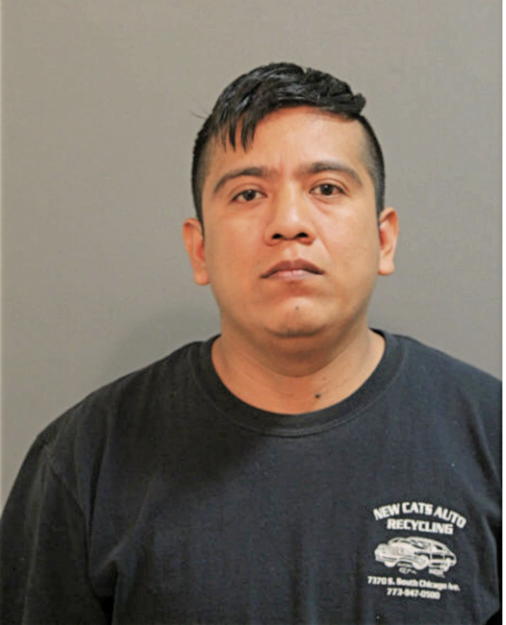 JOSE M VIDAL, Cook County, Illinois