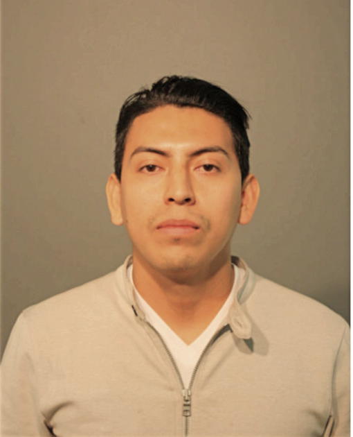 LUIS A ZUNIGA, Cook County, Illinois