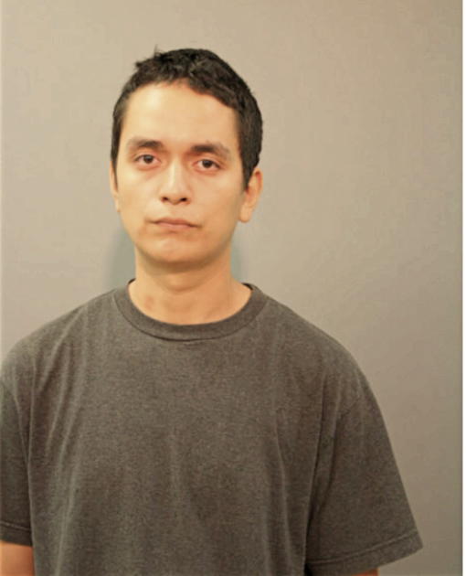 SAMUEL ALCARAZ, Cook County, Illinois